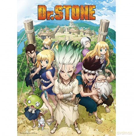 DR STONE - Poster Group (52x38)