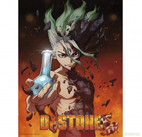 DR STONE - Poster Senku (52x38)