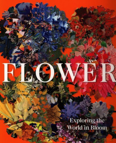Flower Exploring the World in Bloom [KSIĄŻKA]