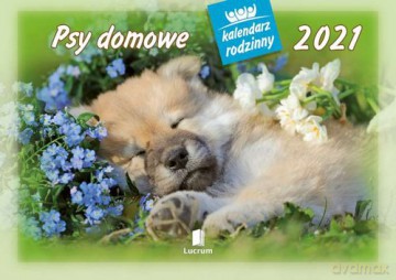Kalendarz 2021 WL08 Psy domowe Kalendarz rodzinny 5 sztuk [KALENDARZ]