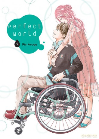 Perfect World (Tom 9) - Rie Aruga [KSIĄŻKA]
