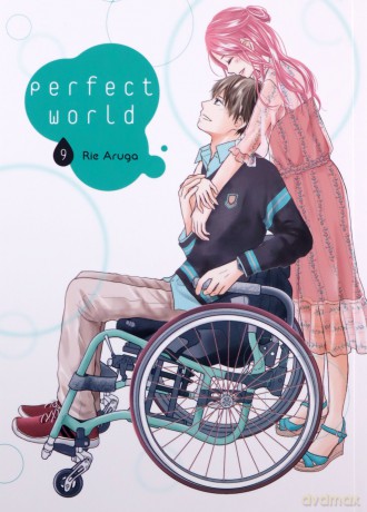 Perfect World (Tom 9) - Rie Aruga [KSIĄŻKA]