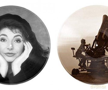Kate Bush: Cloudbusting (Picture) [Winyl]