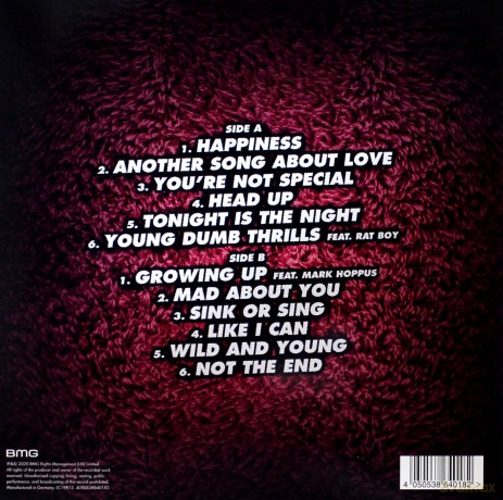 Mcfly: Young Dumb Thrills [Winyl]