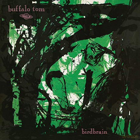 Buffalo Tom: Birdbrain-30th Anniversary (Limited) (Mint Green) [Winyl]