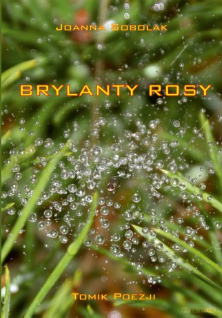 Brylanty rosy - Joanna Sobolak [KSIĄŻKA]