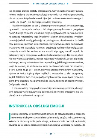 W głowie się poprzewracało - Hania Sywula [KSIĄŻKA]