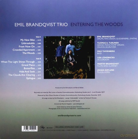 Emil Brandqvist Trio: Entering The Woods [Winyl]