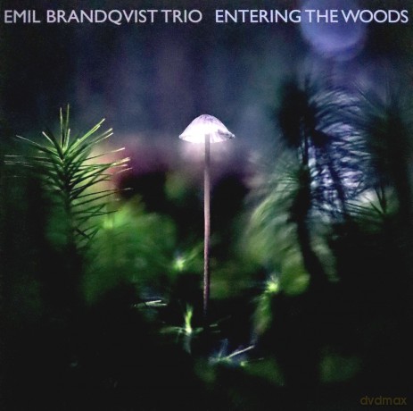 Emil Brandqvist Trio: Entering The Woods [Winyl]