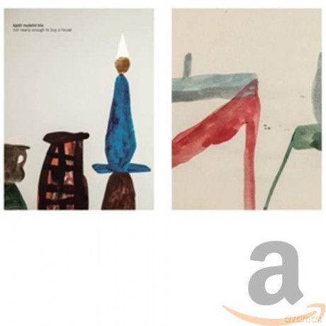Kjetil Mulelid Trio: Not Nearly Enough To Buy A House [Winyl]