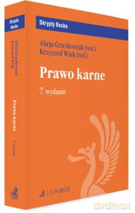 PRAWO KARNE (wydanie 7). Stan prawny sierpień 2020 - Alicja Grześkowiak, Krzysztof Wiak [KSIĄŻKA]