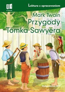 Przygody Tomka Sawyera. Lektura z opracowaniem - Mark Twain [KSIĄŻKA]