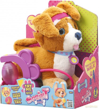 Sprint Piesek Corgi