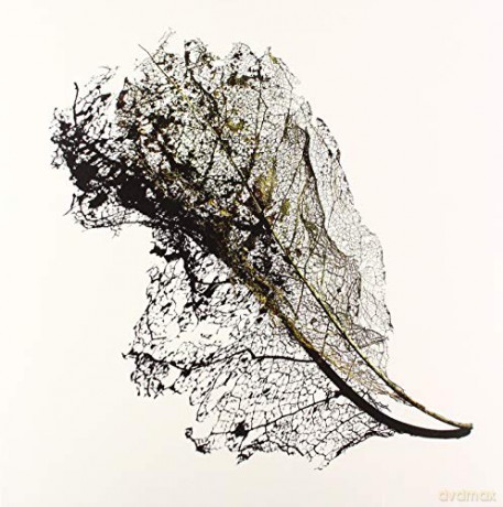 Max Cooper: Earth EP [Winyl]