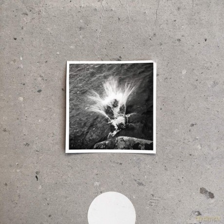 Nils Frahm: Empty [Winyl]
