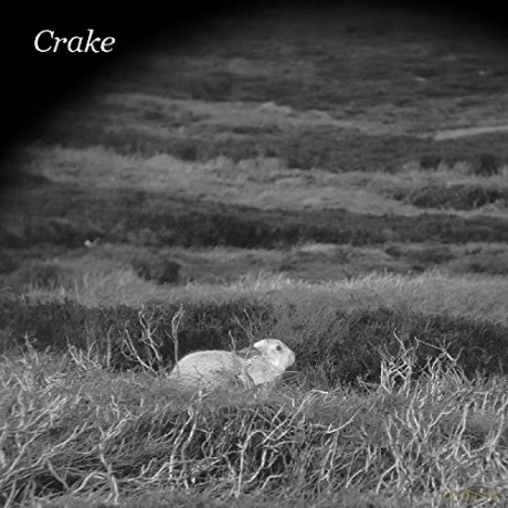 Crake: Enough Salt [Winyl]