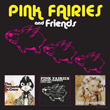 Pink Fairies: Pink Faries And Friends [3CD]