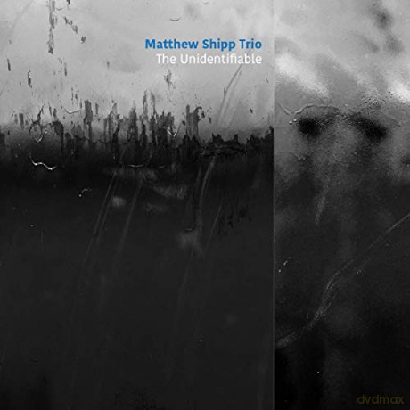 Matthew Shipp Trio: The Unidentifiable [CD]