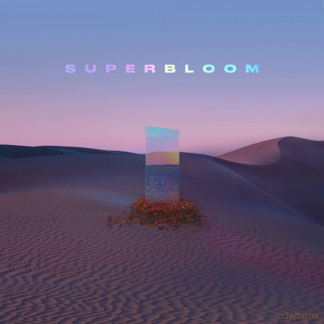 Misterwives: Superbloom [CD]