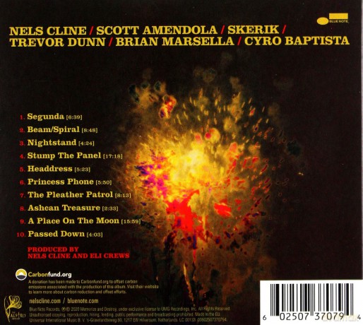 Nels Cline: Share With Wealth [CD]