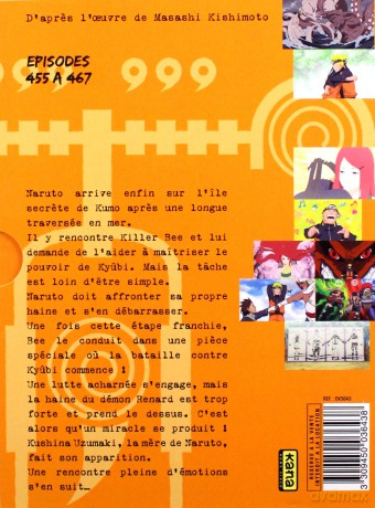 Naruto: Shippuden Vol. 19 [3DVD]