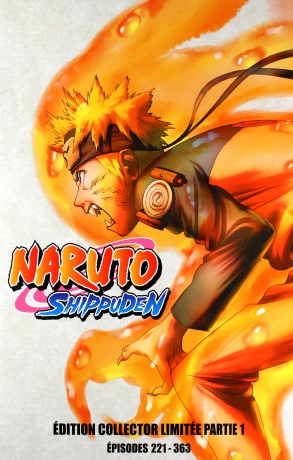 Naruto: Shippuden Part 1 (Episodes 221-363) (Collector's Edition) [BOX] [24DVD]