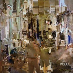 Pole: Fading (Gold) [Winyl]