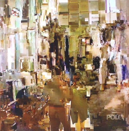 Pole: Fading (Gold) [Winyl]