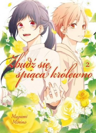 Zbudź się śpiąca królewno (Tom 2) - Megumi Morino [KOMIKS]
