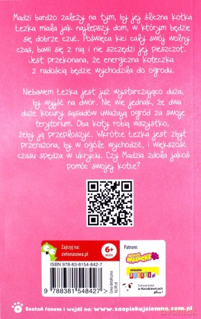 Zaopiekuj się mną. Łezka przerażona kotka - Holly Webb [KSIĄŻKA]