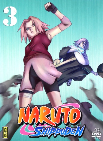 Naruto Shippuden Vol. 3 (Episodes 247-259) [3DVD]