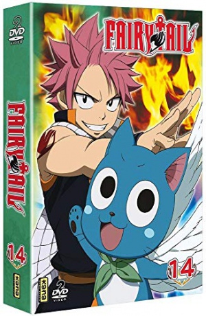 Fairy Tail vol. 14 [2DVD]