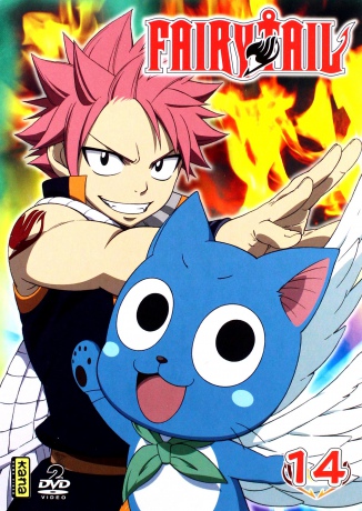 Fairy Tail vol. 14 [2DVD]