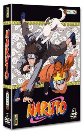 Naruto Vol. 14 [3DVD]