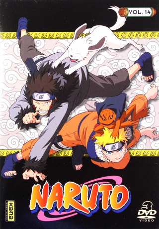 Naruto Vol. 14 [3DVD]