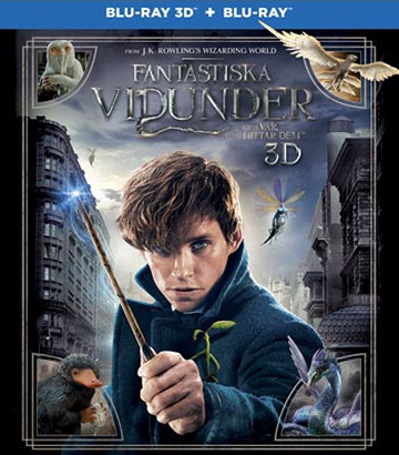Fantastic Beasts and Where to Find Them (Fantastyczne zwierzęta i jak je znaleźć) [Blu-Ray 3D]+[Blu-Ray]
