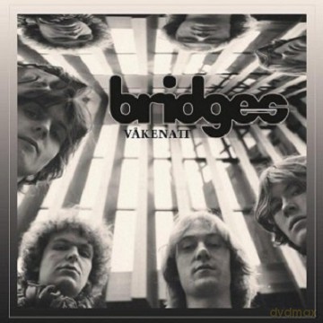 Bridges: Vakenatt [CD]