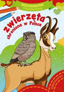 Maluszkowe malowanie. Zwierzęta chronione w Polsce [KSIĄŻKA]
