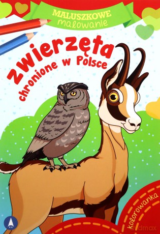 Maluszkowe malowanie. Zwierzęta chronione w Polsce [KSIĄŻKA]