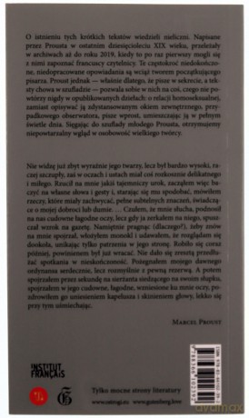 Tajemniczy korespondent - Marcel Proust [KSIĄŻKA]
