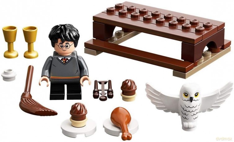 Harry Potter Harry i Hedwiga przesyłka [KLOCKI]