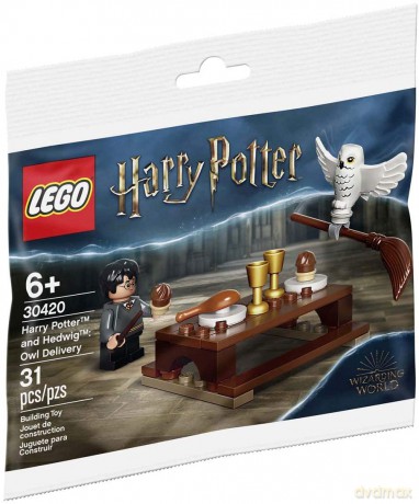Harry Potter Harry i Hedwiga przesyłka [KLOCKI]
