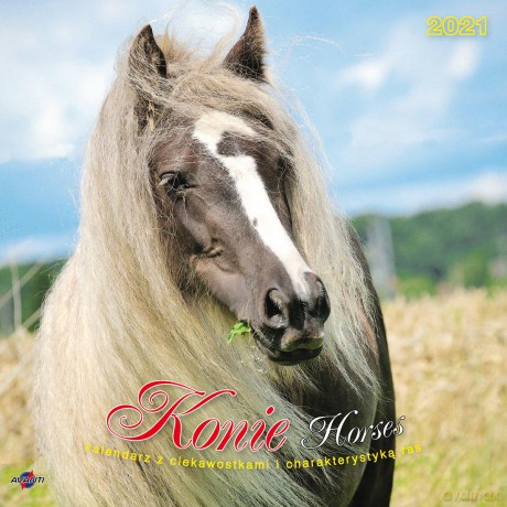Kalendarz 2021 albumowy Konie z ciekawostkami KAD-11 [KALENDARZ]