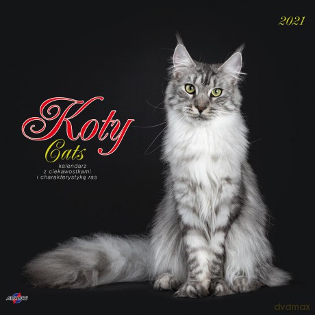 Kalendarz 2021 albumowy Koty z ciekawostkami KAD-9 [KALENDARZ]