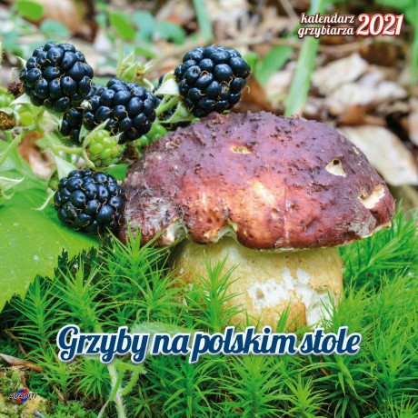 Kalendarz 2021 albumowy Poradnik grzybiarza KAD-6 [KALENDARZ]