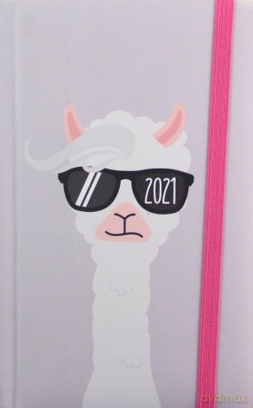 Kalendarz 2021 kieszonkowy A6 Lama [KALENDARZ]