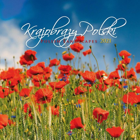 Kalendarz 2021 ścienny Krajobrazy Polski KD-35 [KALENDARZ]