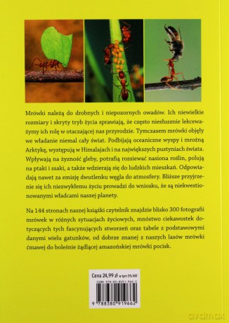 Prywatne życie mrówek - Krzysztof Pabis [KSIĄŻKA]