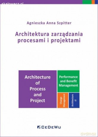 Architektura zarządzania procesami i projektami - Agnieszka Anna Szpitter [KSIĄŻKA]