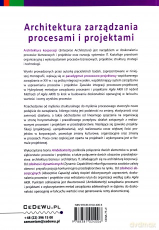 Architektura zarządzania procesami i projektami - Agnieszka Anna Szpitter [KSIĄŻKA]